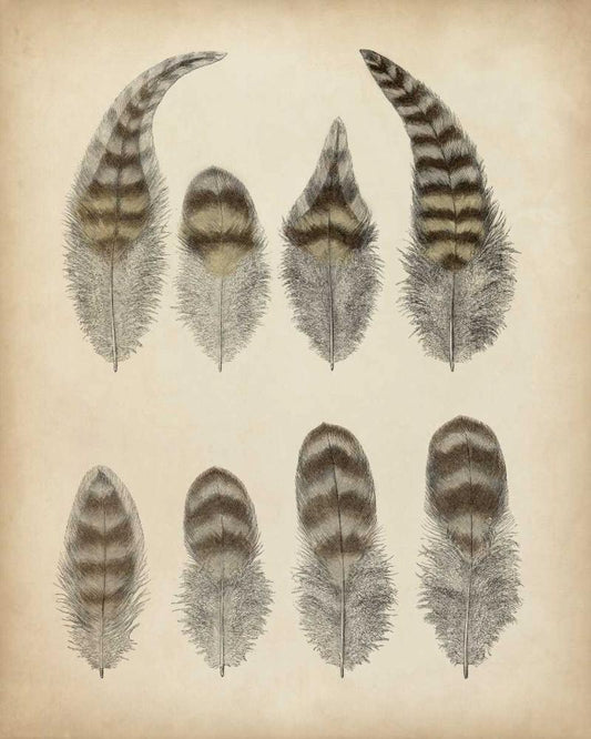 Image Only