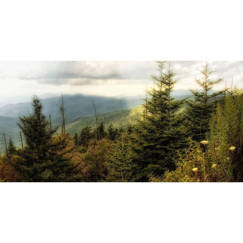 Custom Early Autumn Vista (ASH) Black Modern Wood Framed Art Print by Head, Danny