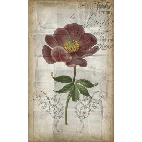 French Floral I Gold Ornate Wood Framed Art Print with Double Matting by Goldberger, Jennifer