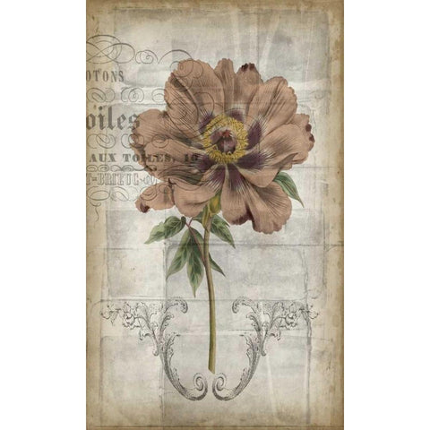 French Floral II Black Modern Wood Framed Art Print with Double Matting by Goldberger, Jennifer