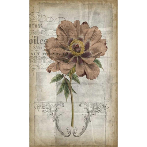 French Floral II Gold Ornate Wood Framed Art Print with Double Matting by Goldberger, Jennifer