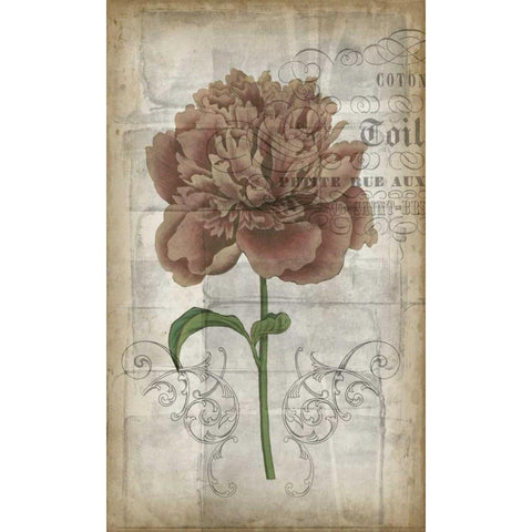 French Floral IV Gold Ornate Wood Framed Art Print with Double Matting by Goldberger, Jennifer