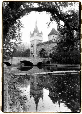 Castle Reflections Vajdahunyad Black Ornate Wood Framed Art Print with Double Matting by DeNardo, Laura