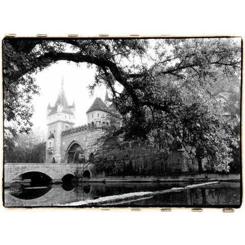 Vajdahunyad Castle, Budapest Black Modern Wood Framed Art Print with Double Matting by DeNardo, Laura