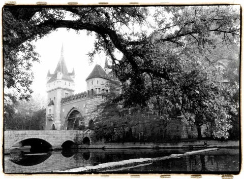 Vajdahunyad Castle, Budapest Black Ornate Wood Framed Art Print with Double Matting by DeNardo, Laura