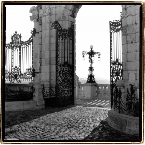 Gates to the Royal Palace, Budapest Black Modern Wood Framed Art Print by DeNardo, Laura