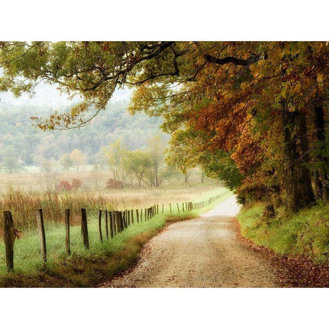 Autumn on a Country Road White Modern Wood Framed Art Print by Head, Danny