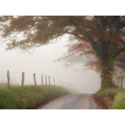 Blanket of Fog Black Modern Wood Framed Art Print with Double Matting by Head, Danny