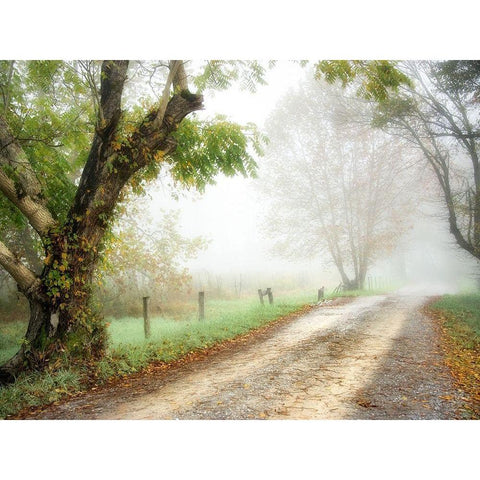 Feel the Silence White Modern Wood Framed Art Print by Head, Danny