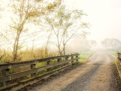 Crossing Over Black Ornate Wood Framed Art Print with Double Matting by Head, Danny