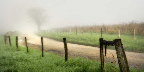 Around the Bend Black Ornate Wood Framed Art Print with Double Matting by Head, Danny