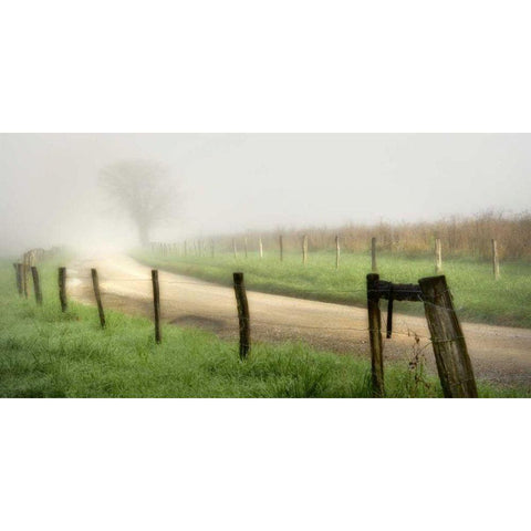 Around the Bend Black Modern Wood Framed Art Print by Head, Danny