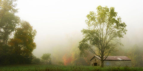 Fog at the Farm White Modern Wood Framed Art Print with Double Matting by Head, Danny