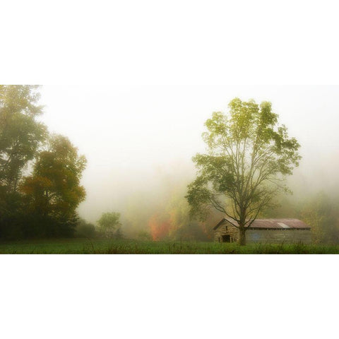 Fog at the Farm Gold Ornate Wood Framed Art Print with Double Matting by Head, Danny