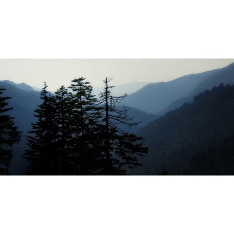 High Country Silhouette I Gold Ornate Wood Framed Art Print with Double Matting by Head, Danny