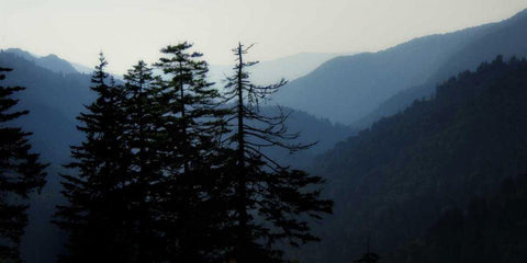 High Country Silhouette I White Modern Wood Framed Art Print with Double Matting by Head, Danny