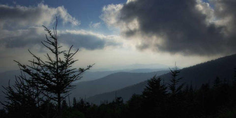 High Country Silhouette II Black Ornate Wood Framed Art Print with Double Matting by Head, Danny