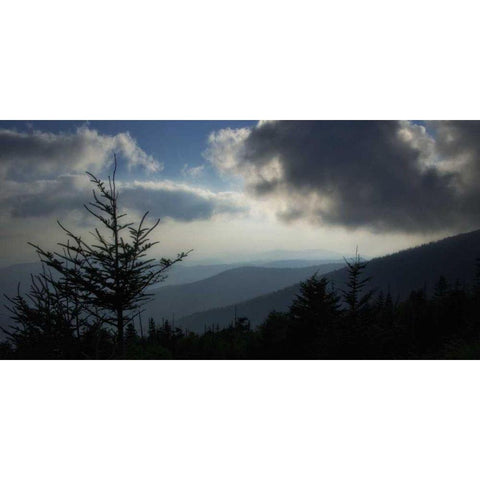 High Country Silhouette II White Modern Wood Framed Art Print by Head, Danny