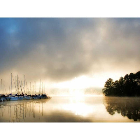 Breaking Through I Black Modern Wood Framed Art Print with Double Matting by Head, Danny