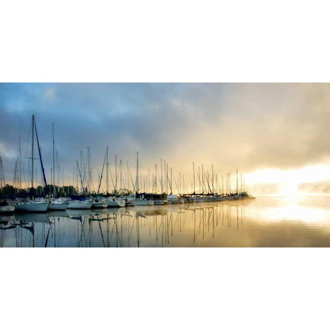 Breaking Through II Black Modern Wood Framed Art Print by Head, Danny