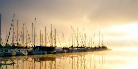 Marina Morning I Black Ornate Wood Framed Art Print with Double Matting by Head, Danny