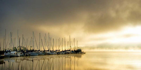 Marina Morning II Black Ornate Wood Framed Art Print with Double Matting by Head, Danny