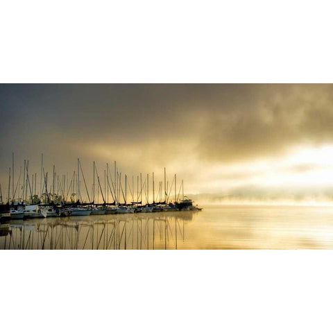 Marina Morning II Black Modern Wood Framed Art Print by Head, Danny