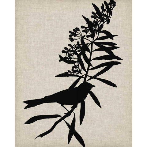 Audubon Silhouette I Black Modern Wood Framed Art Print with Double Matting by Vision Studio