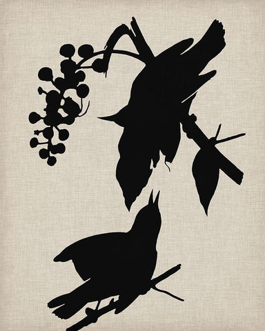 Audubon Silhouette III Black Ornate Wood Framed Art Print with Double Matting by Vision Studio