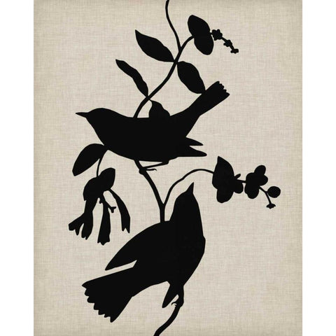 Audubon Silhouette IV Black Modern Wood Framed Art Print with Double Matting by Vision Studio