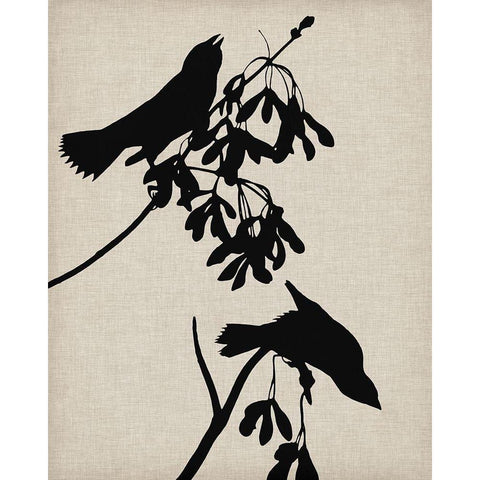 Audubon Silhouette VI White Modern Wood Framed Art Print by Vision Studio