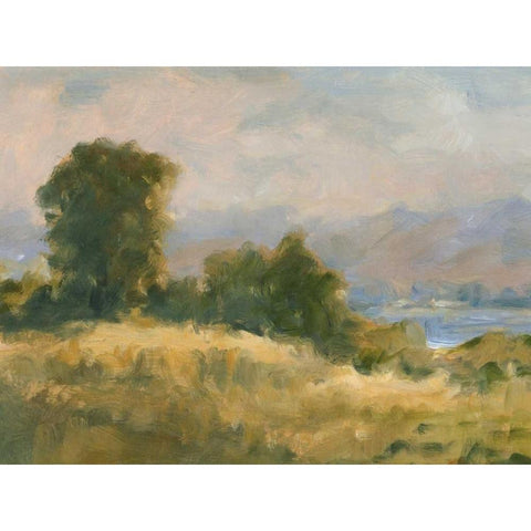 Impasto Landscape V Gold Ornate Wood Framed Art Print with Double Matting by Harper, Ethan