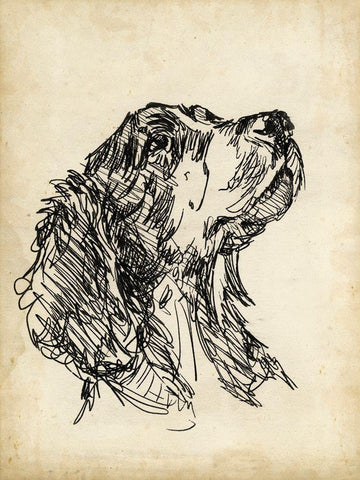 Breed Studies VII Black Ornate Wood Framed Art Print with Double Matting by Harper, Ethan