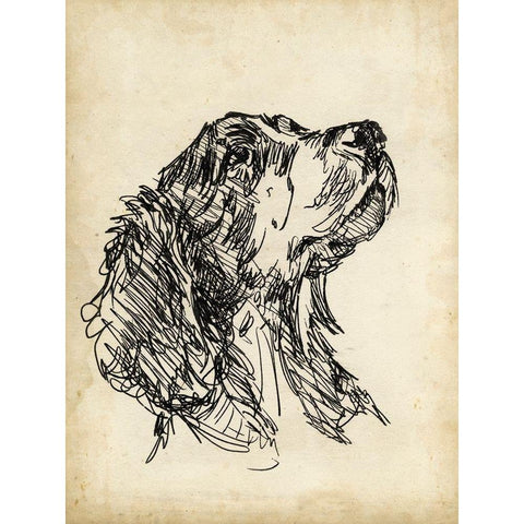 Breed Studies VII Black Modern Wood Framed Art Print by Harper, Ethan