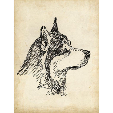 Breed Studies X Black Modern Wood Framed Art Print by Harper, Ethan