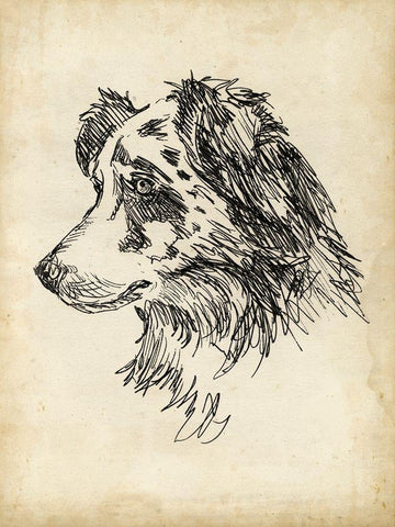 Breed Studies XI Black Ornate Wood Framed Art Print with Double Matting by Harper, Ethan