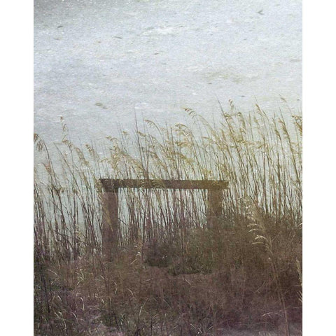 Through the Dunes I Black Modern Wood Framed Art Print by Ilosky, Pam