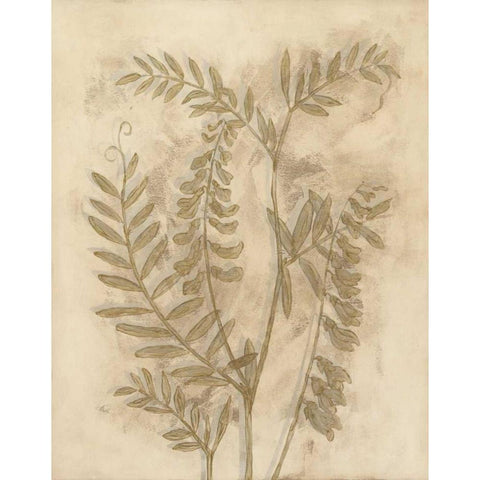 Gilded Foliage I Gold Ornate Wood Framed Art Print with Double Matting by Meagher, Megan