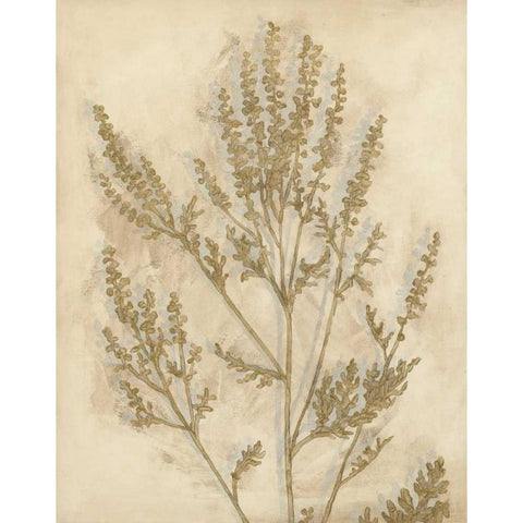 Gilded Foliage II Black Modern Wood Framed Art Print with Double Matting by Meagher, Megan