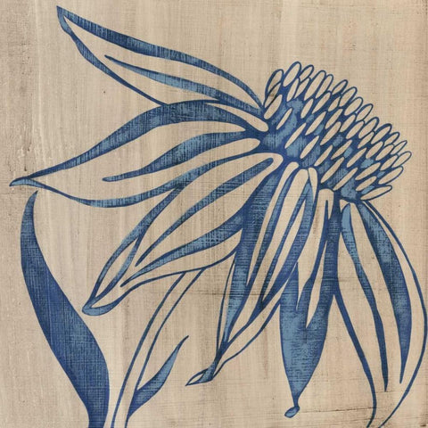 Indigo Coneflower White Modern Wood Framed Art Print with Double Matting by Zarris, Chariklia