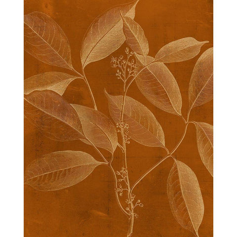 Modern Botany VI Gold Ornate Wood Framed Art Print with Double Matting by Vision Studio