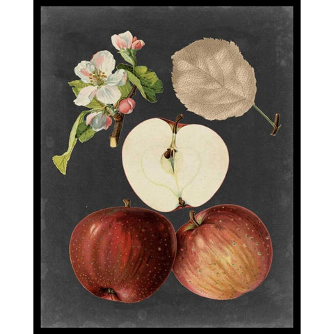 Midnight Harvest I White Modern Wood Framed Art Print by Vision Studio