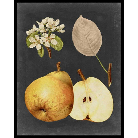 Midnight Harvest IV Black Modern Wood Framed Art Print with Double Matting by Vision Studio