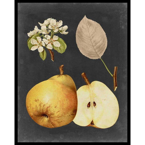 Midnight Harvest IV Gold Ornate Wood Framed Art Print with Double Matting by Vision Studio