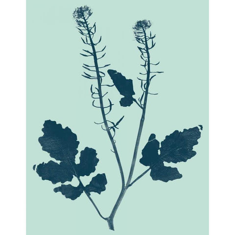 Indigo and Mint Botanical Study I Black Modern Wood Framed Art Print with Double Matting by Vision Studio