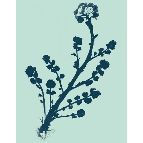 Indigo and Mint Botanical Study II Black Modern Wood Framed Art Print with Double Matting by Vision Studio