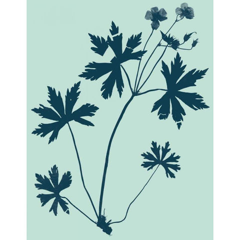 Indigo and Mint Botanical Study III White Modern Wood Framed Art Print by Vision Studio