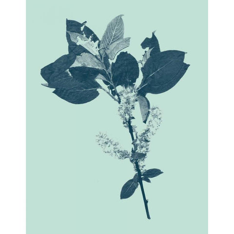 Indigo and Mint Botanical Study V Black Modern Wood Framed Art Print by Vision Studio