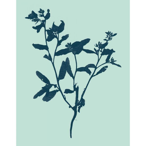 Indigo and Mint Botanical Study VII White Modern Wood Framed Art Print by Vision Studio