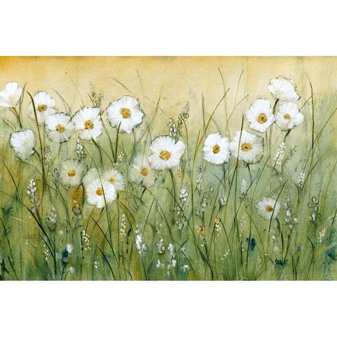 Daisy Spring II White Modern Wood Framed Art Print by OToole, Tim